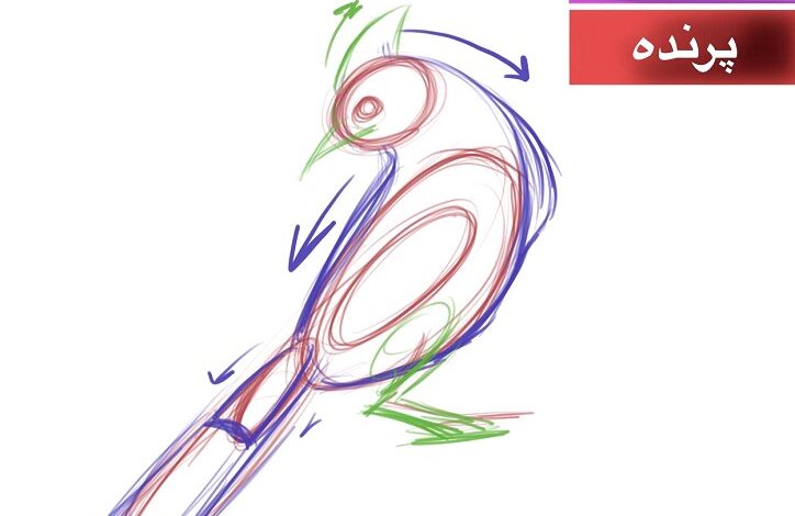 تصویر از آموزش طراحی پرنده در مینیاتور