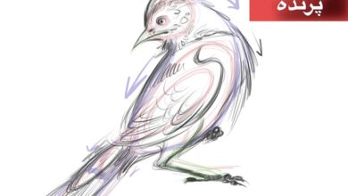 تصویر از طراحی از پرنده در مینیاتور _شماره 1